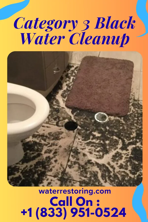 Category 3 Black Water Cleanup in Lafayette, OH