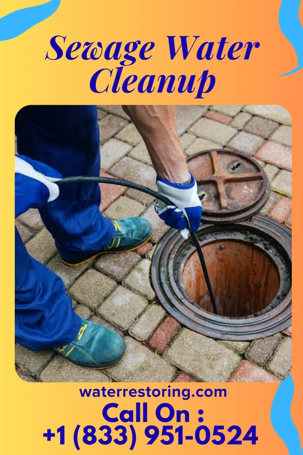 Sewage Water Cleanup in Lafayette, OH