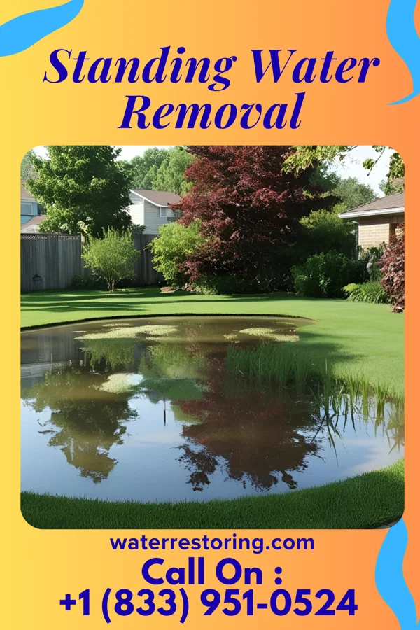 Standing Water Removal in Lafayette, OH